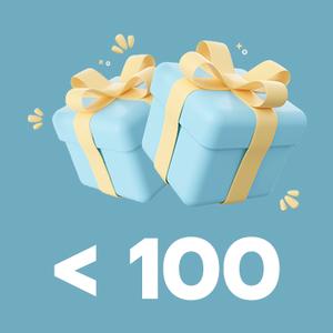Gift Ideas for less than 100