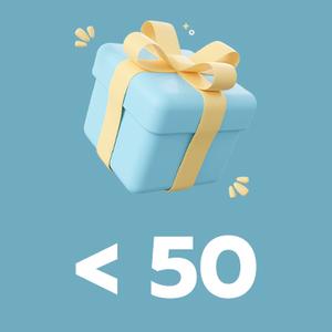 Gift Ideas for less than 50