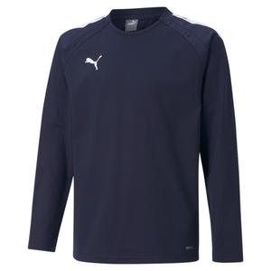 657239-06-sweatshirt-child-puma-teamliga-blue-white